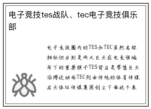 电子竞技tes战队、tec电子竞技俱乐部